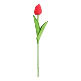 Tulipa 3,5 cm - 30cm - Vermelho