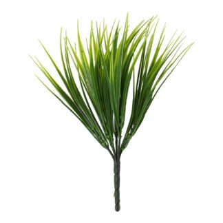 Haste de Yucca c/ 7 - 25 cm - Verde