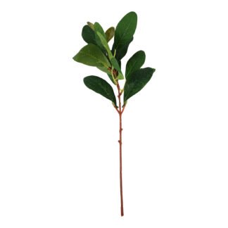 Folha Goiabeira 9x4 cm - 30 cm - Verde - Toque SEDA