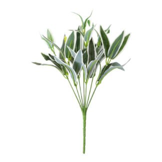 Planta Folhagem Bambu c/ 7 - 33 cm - Verde