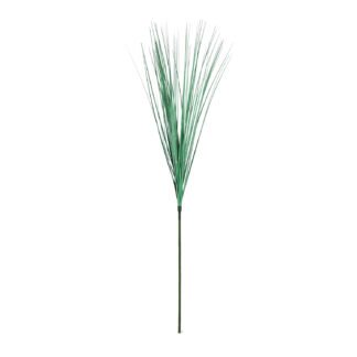 Folhagem Cebolinha - 80 cm - Verde