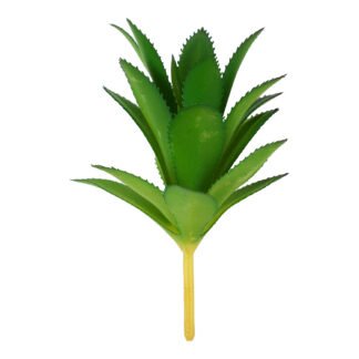 Suculenta 9 cm - Verde