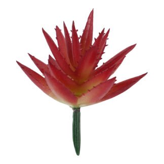 Suculenta 6 cm - Vermelho