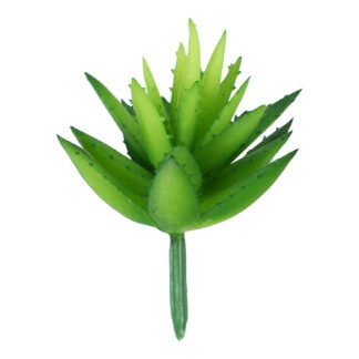 Suculenta 6 cm - Verde