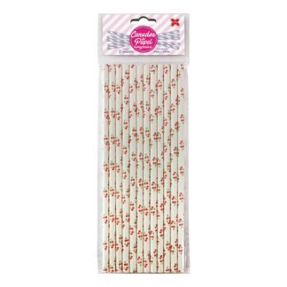 Canudo de Papel 6mmx200mm c/ 12 und - Cereja