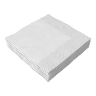 ACESSORIO FESTA GUAR. 25x25CM C/ 20 FLS Branco