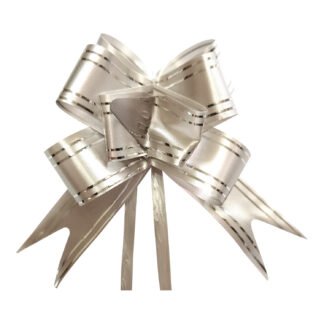 Laço Fácil P (11mmx20,5cm) - Prata e Filete Prata c/ 10