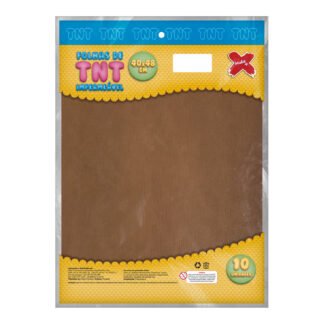 PLACA DE TNT 150G IMPERMEAVEL 40*48 - PCT C/10 - MARROM