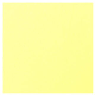 Placa de Eva Liso 40cm x 60 cm- Pct c/ 10 fls - Amarelo Bebe