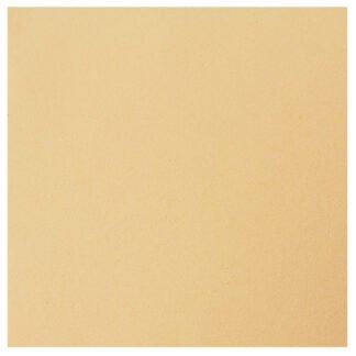 Placa de Eva Liso 40cm x 60 cm- Pct c/ 10 fls - Bege