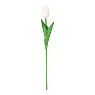Tulipa 3,5 cm - 30cm - Branco