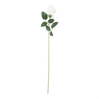 Botão Rosa 6 cm - 50 cm - Branco - Toque AVELUDADO