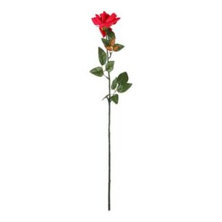 Rosa Europeia 12 cm - 70 cm - Rosa - Toque Acetinado