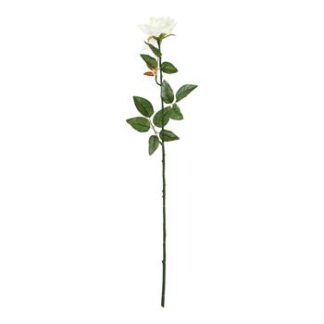 Rosa Europeia 12 cm - 70 cm - Branco - Toque Acetinado