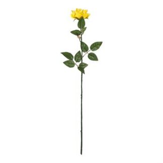 Rosa Europeia 12 cm - 70 cm - Amarelo - Toque Acetinado