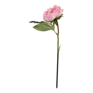 Peônia 7,5 cm - 36 cm - Pink - Toque Acetinado