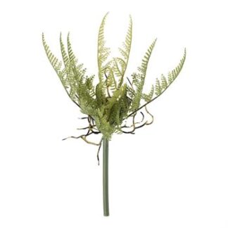 Planta Folhagem Samambaia de Jade - 27 Cm - Verde