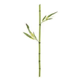 Háste Bambu de Outono com folhas - 48 cm - Verde
