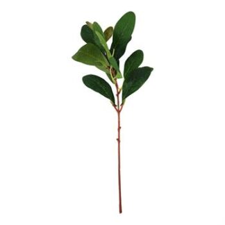 Folha Goiabeira 9x4 cm - 30 cm - Verde - Toque SEDA