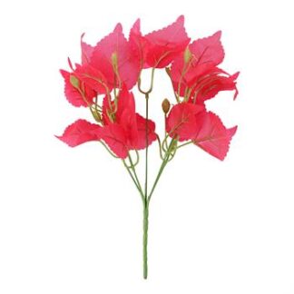 Planta Folhagem c/ 7 - 30 cm - Vermelha