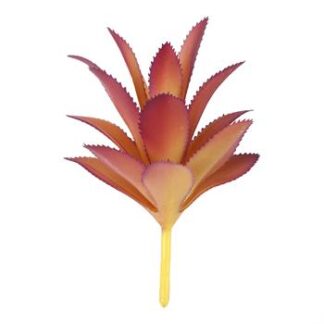 Suculenta 9 cm - Roxo