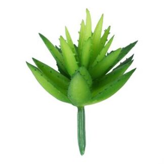 Suculenta 6 cm - Verde