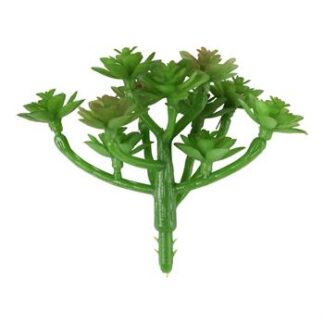 Suculenta 10 cm - Verde