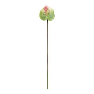 Haste Antúrio 12 cm - 58 cm - Verde