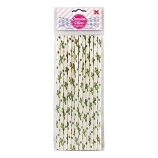 Canudo de Papel 6mmx200mm c/ 12 und - Cacto