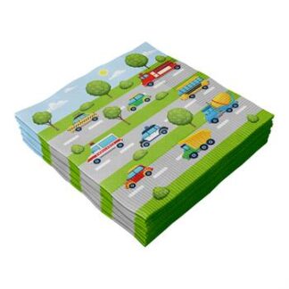 ACESSORIO FESTA GUAR. 33x33CM  C/ 20 FLS Carros